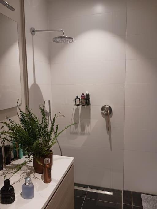 Appartement Philipstock *
